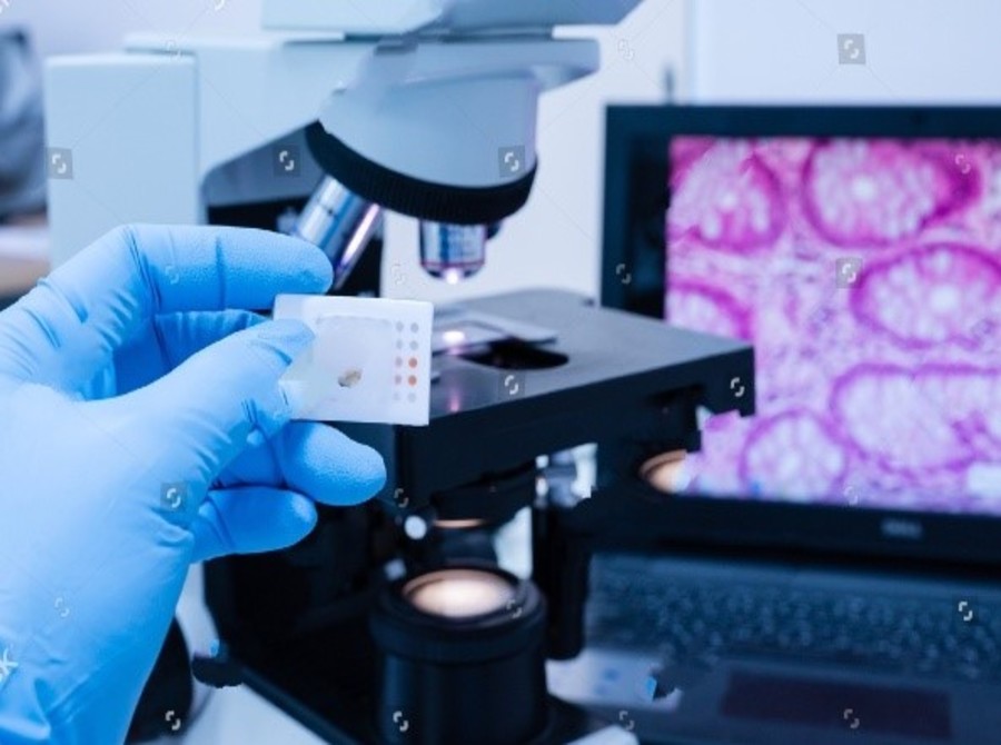 Histopathology