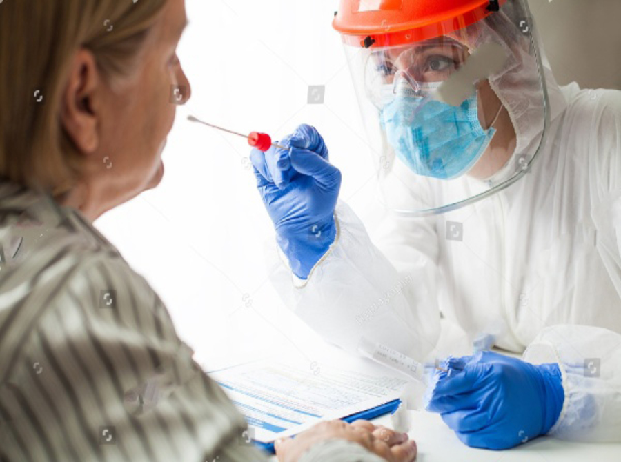 Molecular Biology