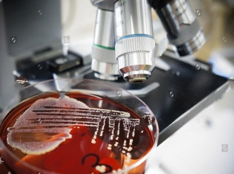 Microbiology
